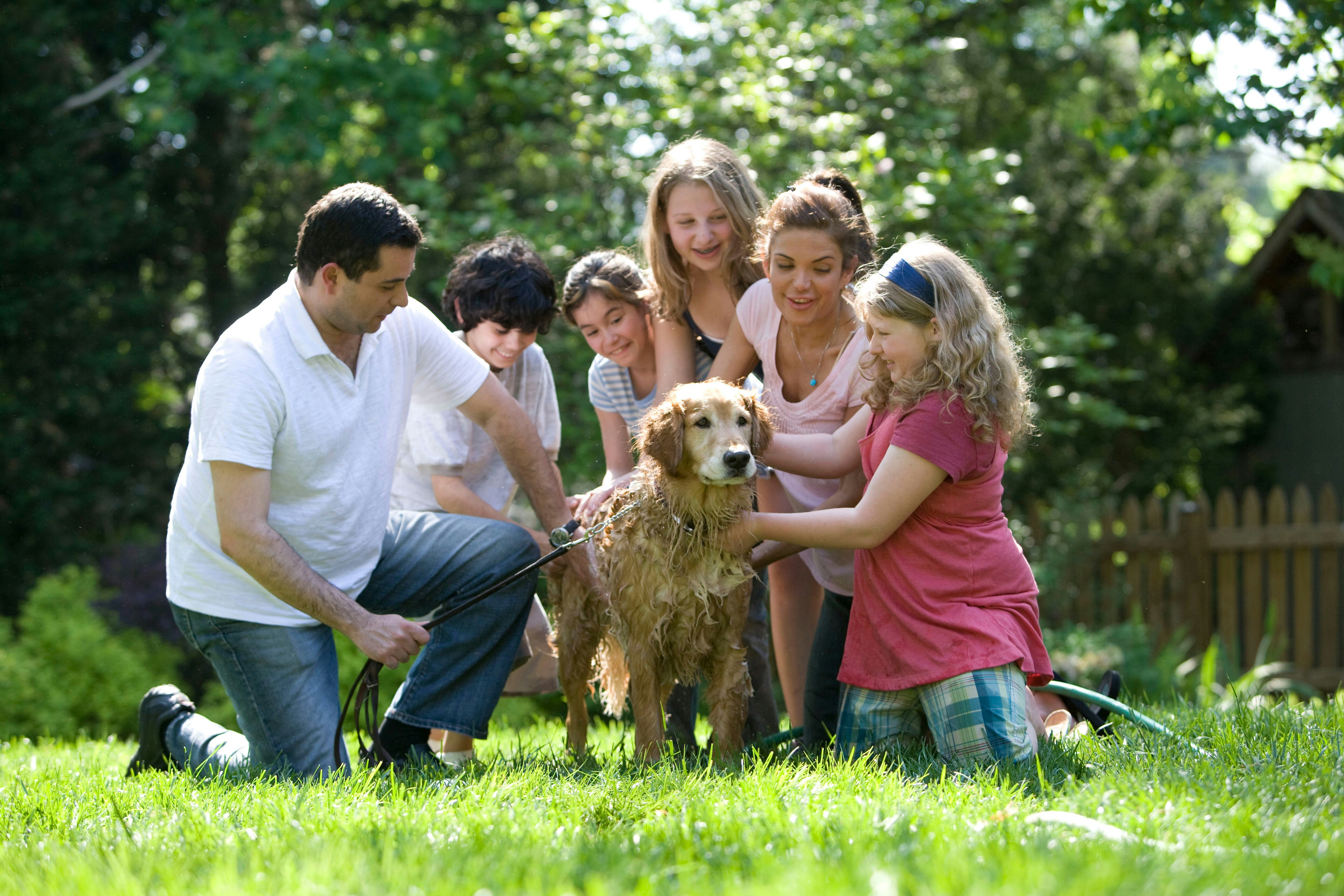 Keeping your furry pets healthy includes keeping them clean, as well. Together, this family was in the process of washing their Labrador retriever outside in the fresh air. With help from two neighbor girls, the mother, young daughter, and son, were all s