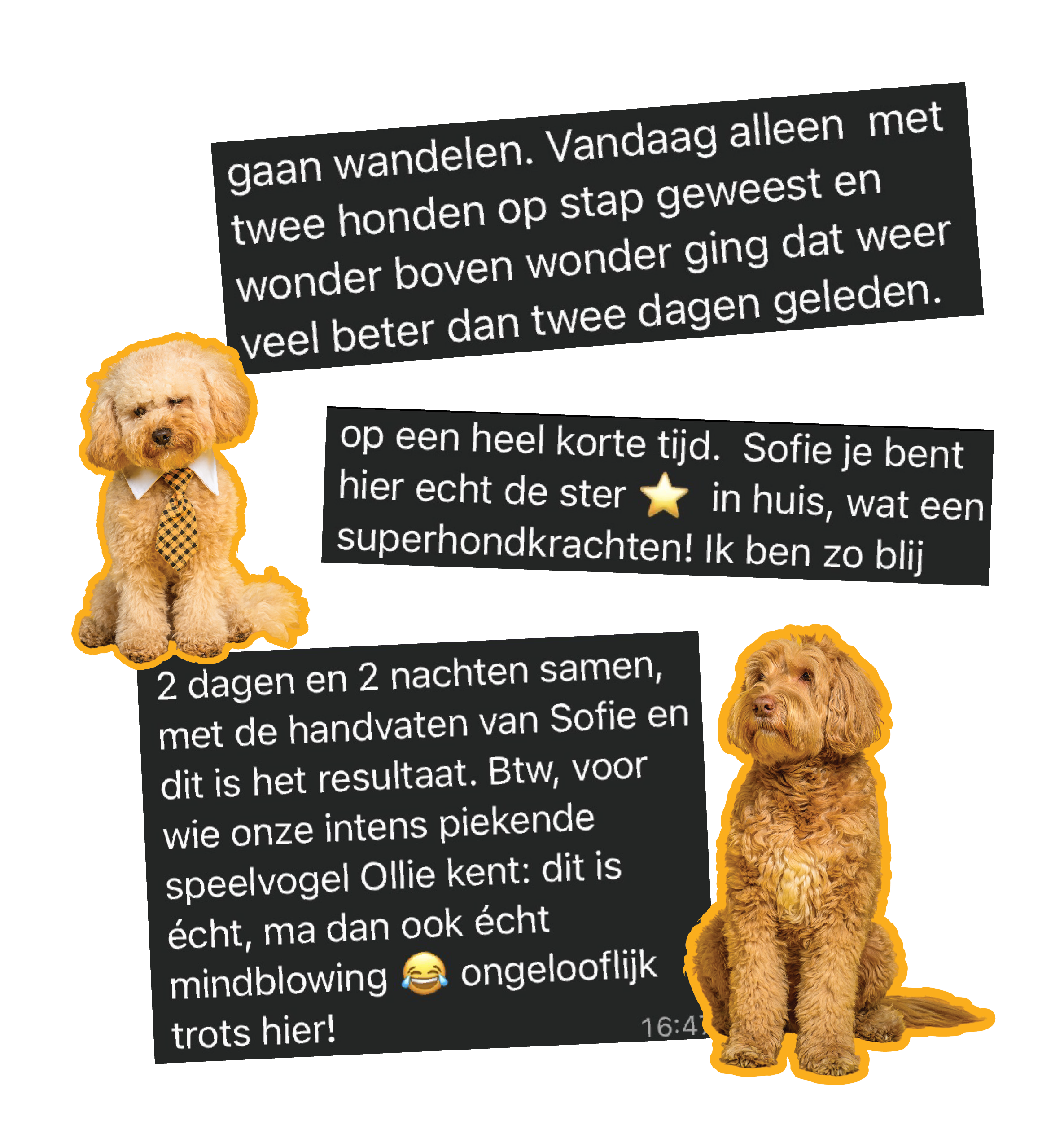 Woef Wonderland door Sofie Thijs