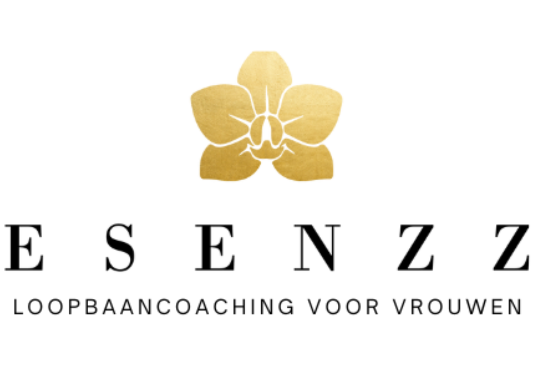 Example image