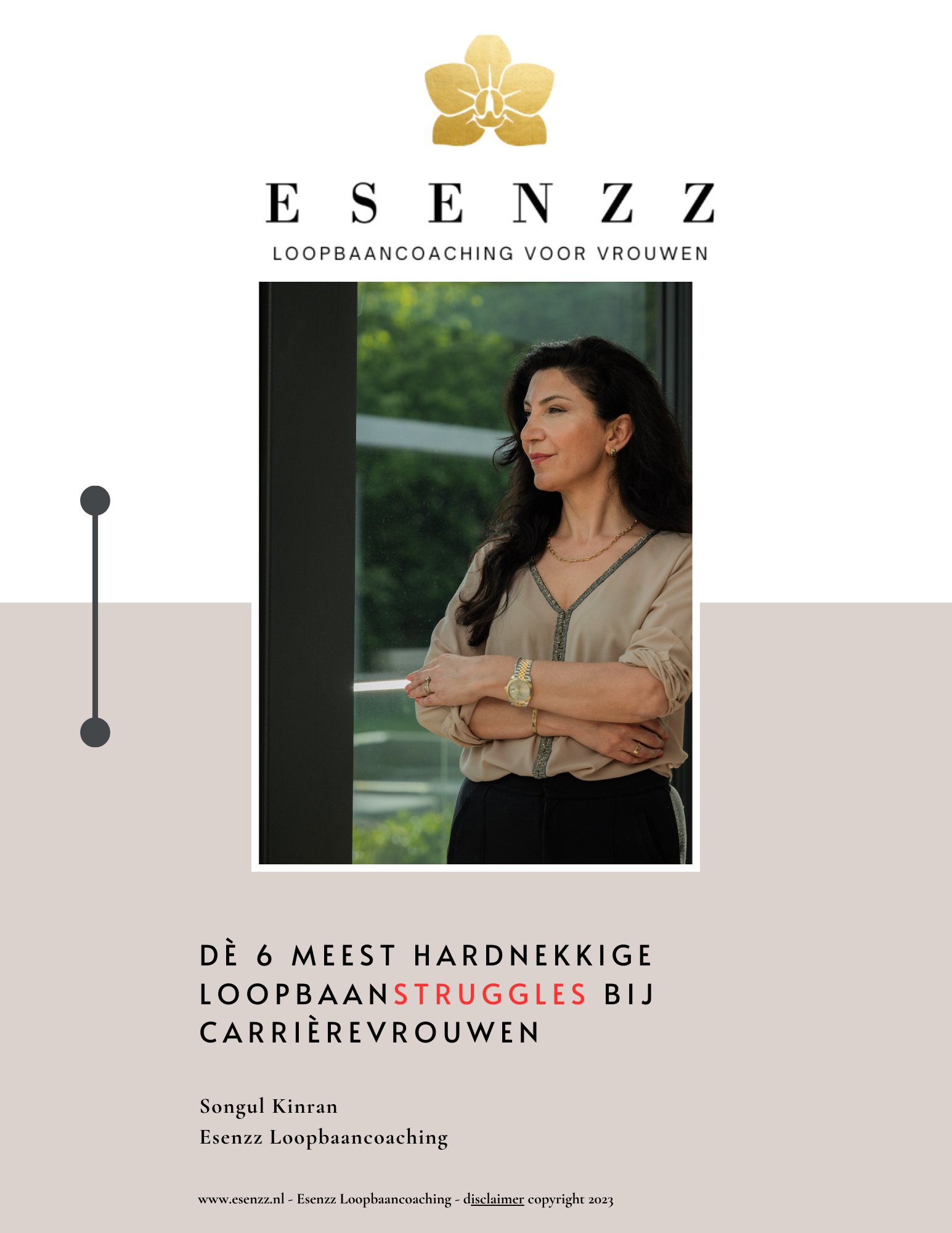 E-boek Dè 6 meest hardnekkige loopbaanstruggles bij Carrierevrouwen!