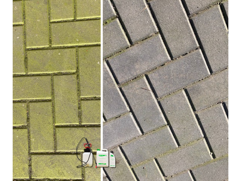 Example image