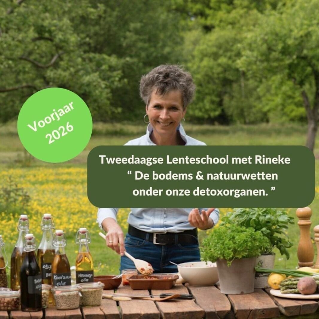 Tweedaagse lenteschool met Rineke Dijkinga