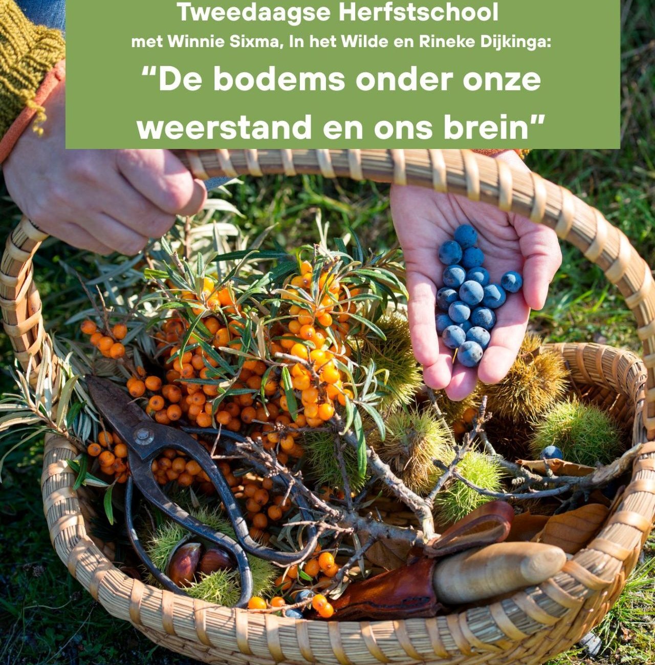 Tweedaagse herfstschool met Rineke Dijkinga