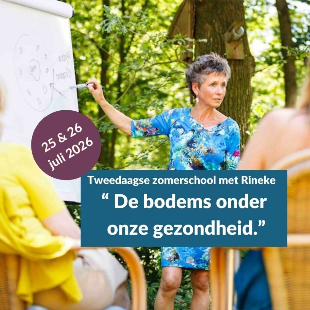 Tweedaagse zomerschool met Rineke Dijkinga