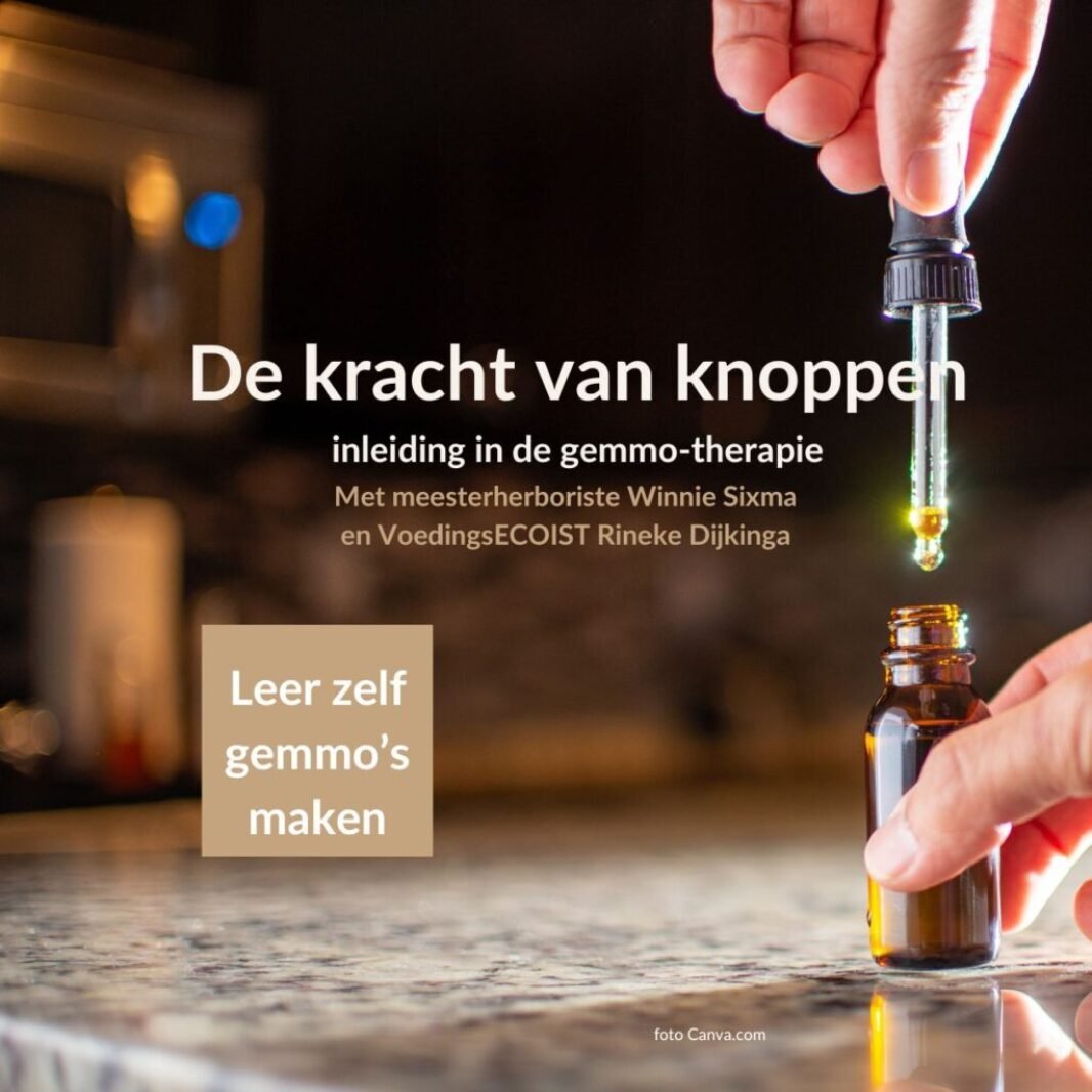 Rineke Dijkinga gemmotherapie de kracht van knoppen