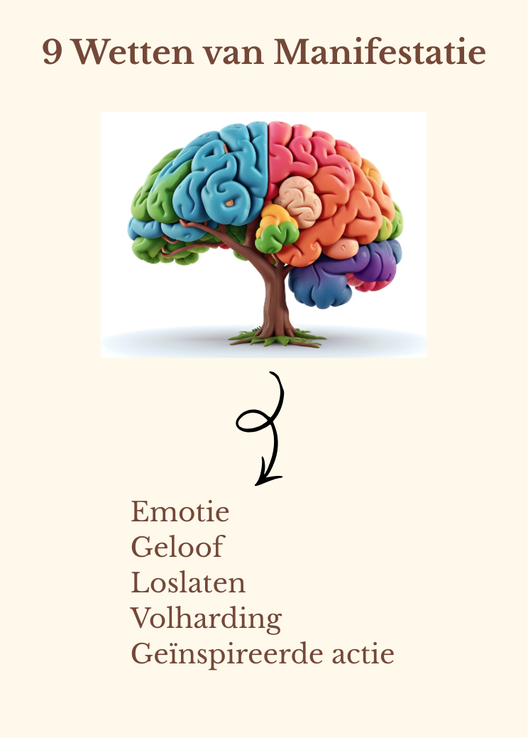 9 Wetten van Manifestatie - hoofdkaartje met een gekleurd brein en de woorden: Emotie, Geloof, Loslaten, Volharding, Geïnspireerde Actie