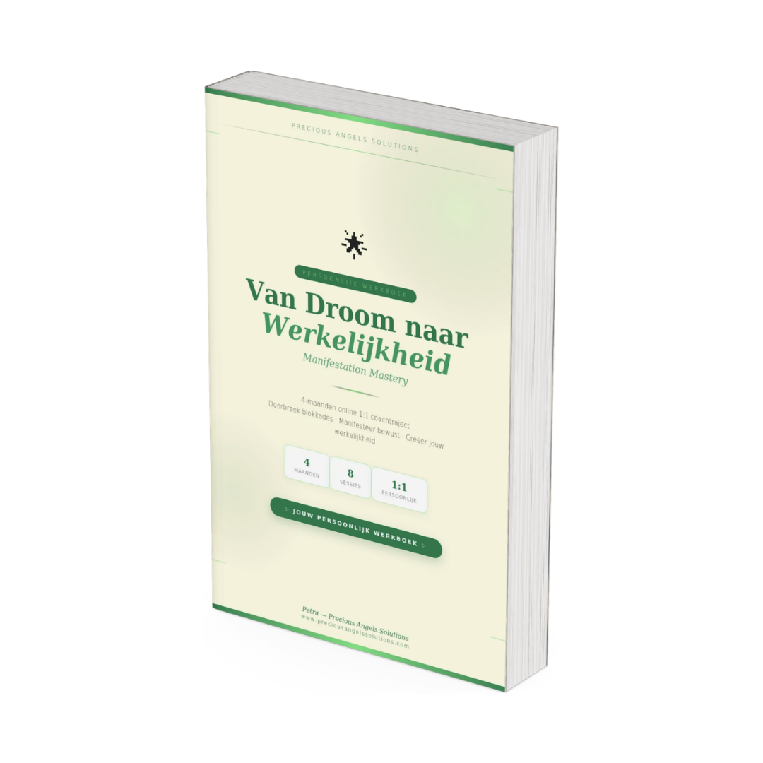 Mock-up 4-maandtraject werkboek