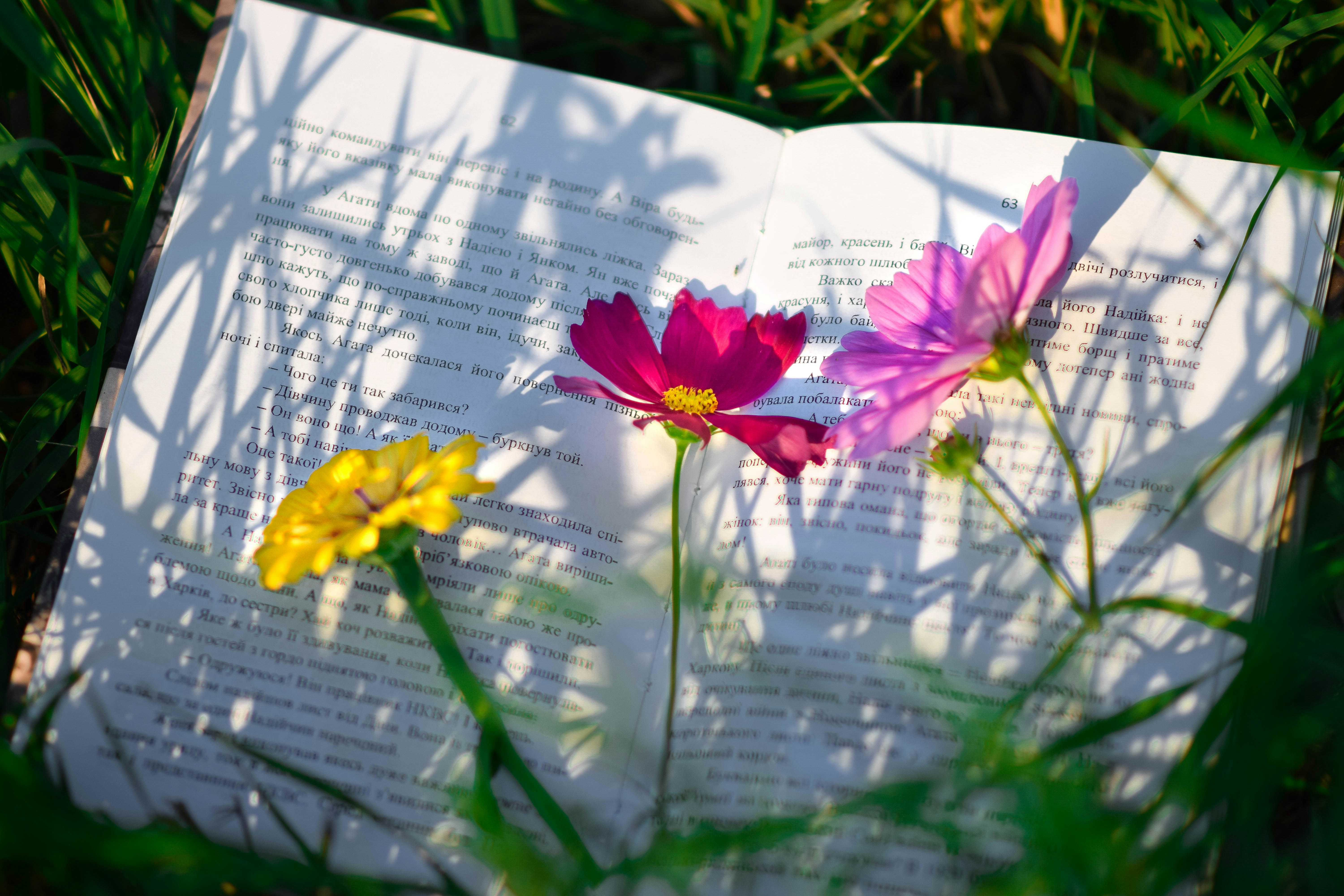 Flowering flowers like reading books. Reading books, our brain always flourishes.
