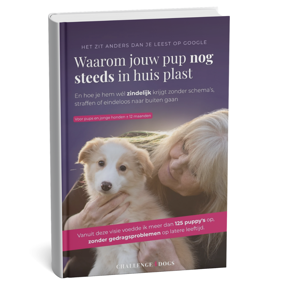 E-book Challenge4Dogs omslag