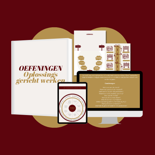 oplossingsgericht werken