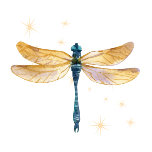 Example image