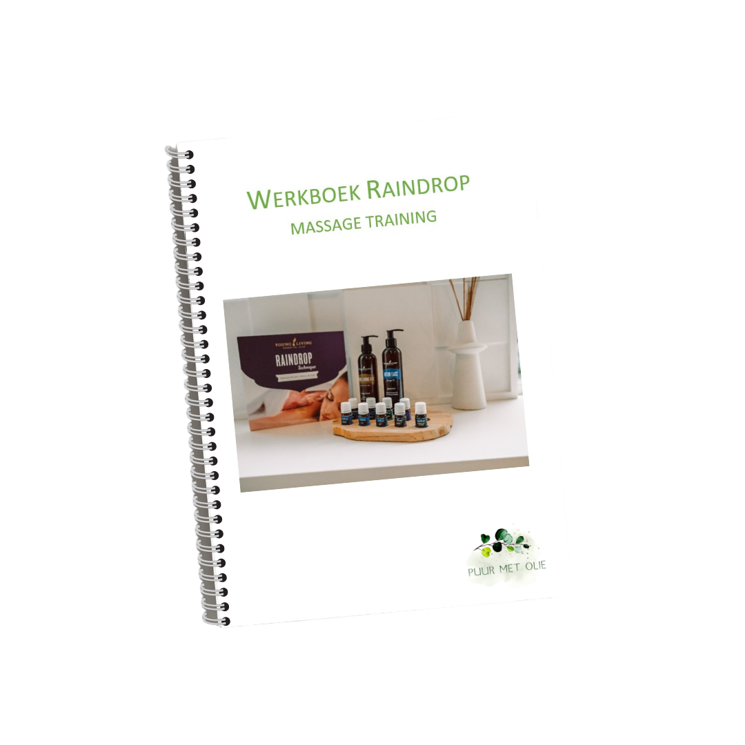 Generated by Plug&Pay AI