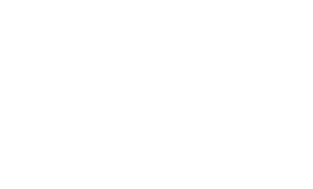Example image