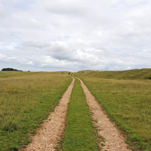 pad naar de juiste oplossing