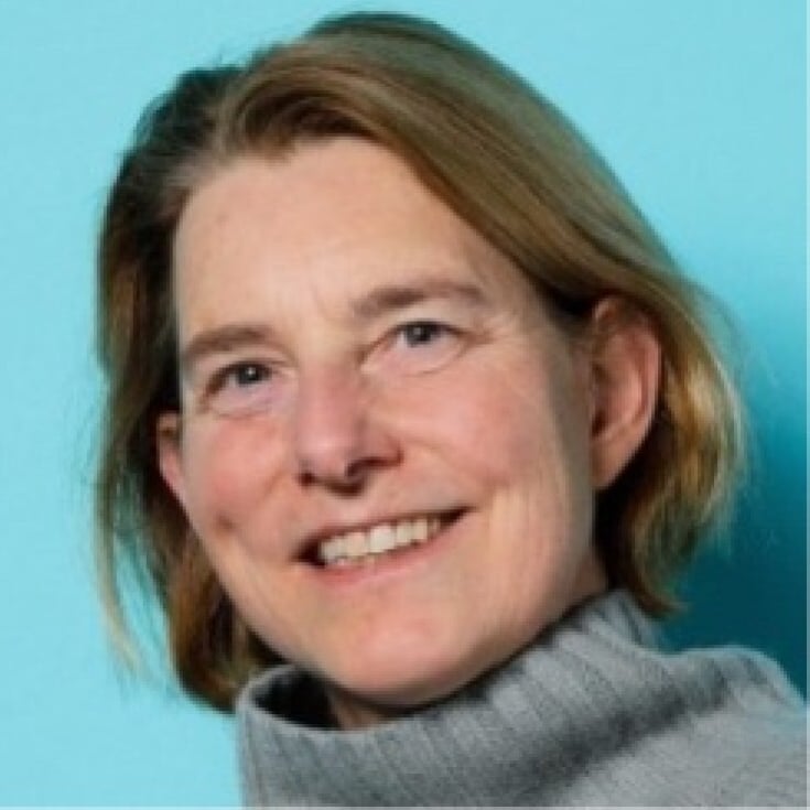 Pieternel Timmermans, Ziekenhuisapotheker