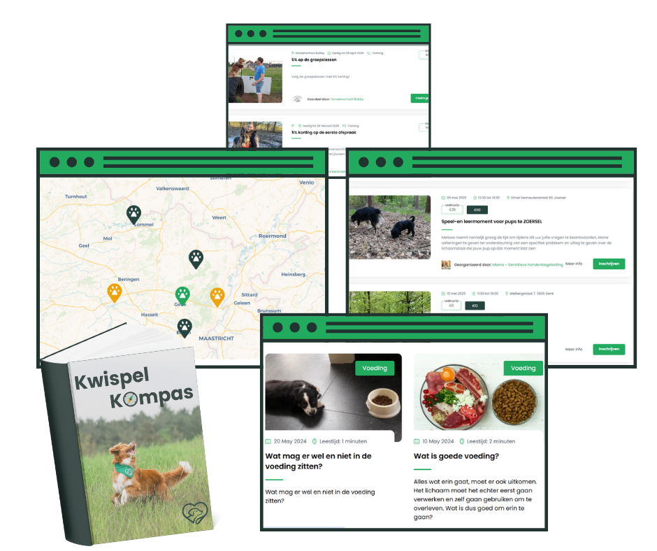 Example image