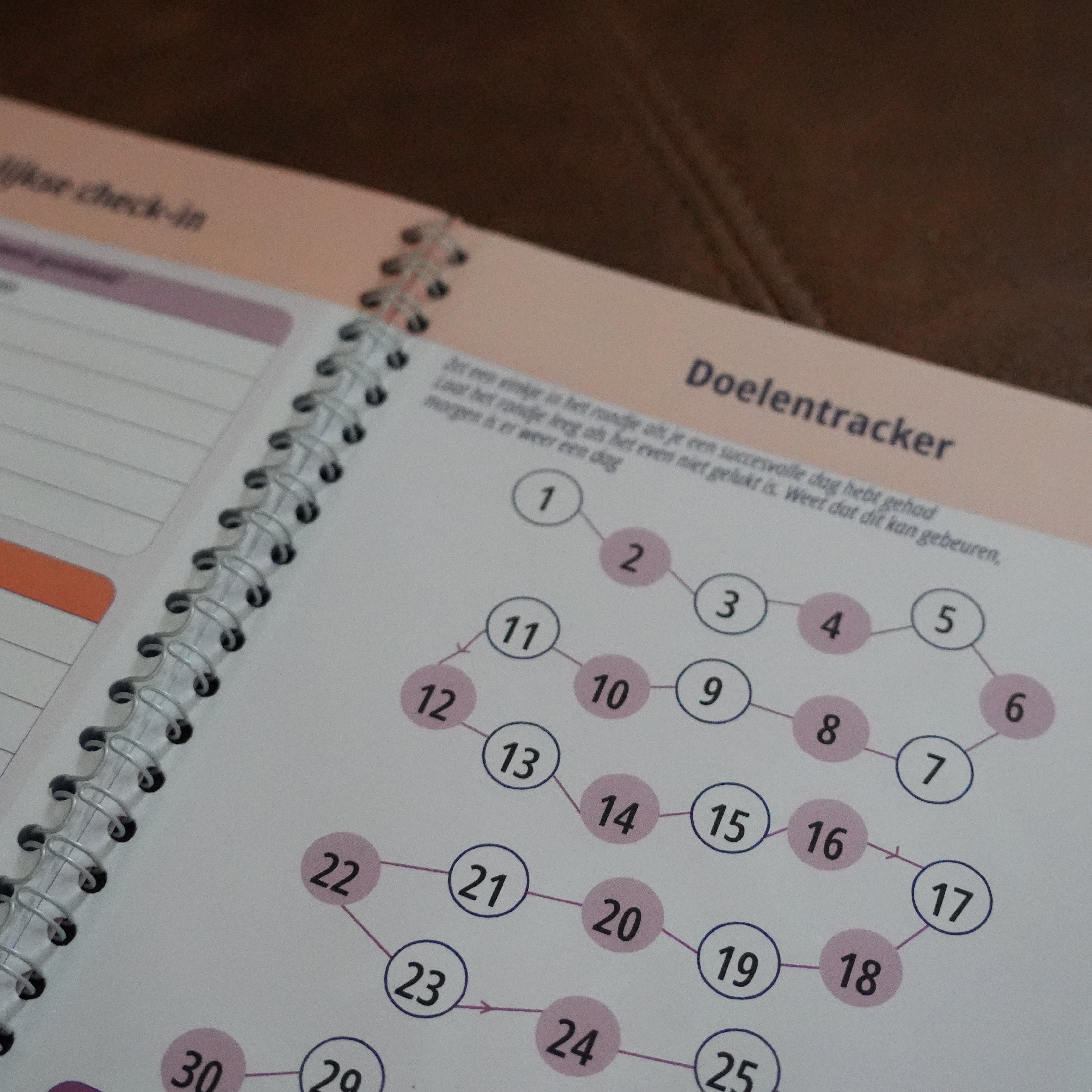 Mzani Leefstijldagboek tracker pagina