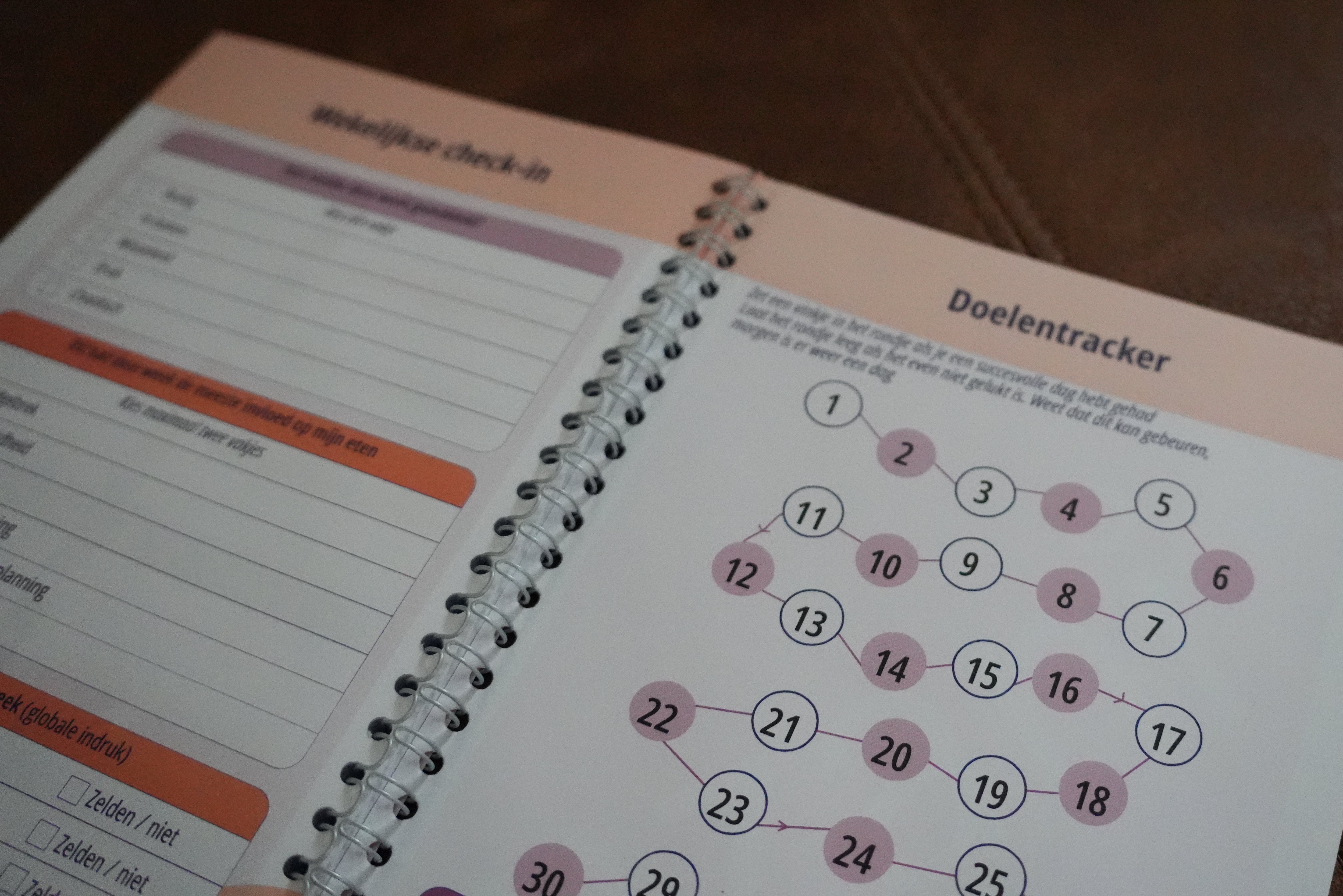 Mzani Leefstijldagboek tracker pagina