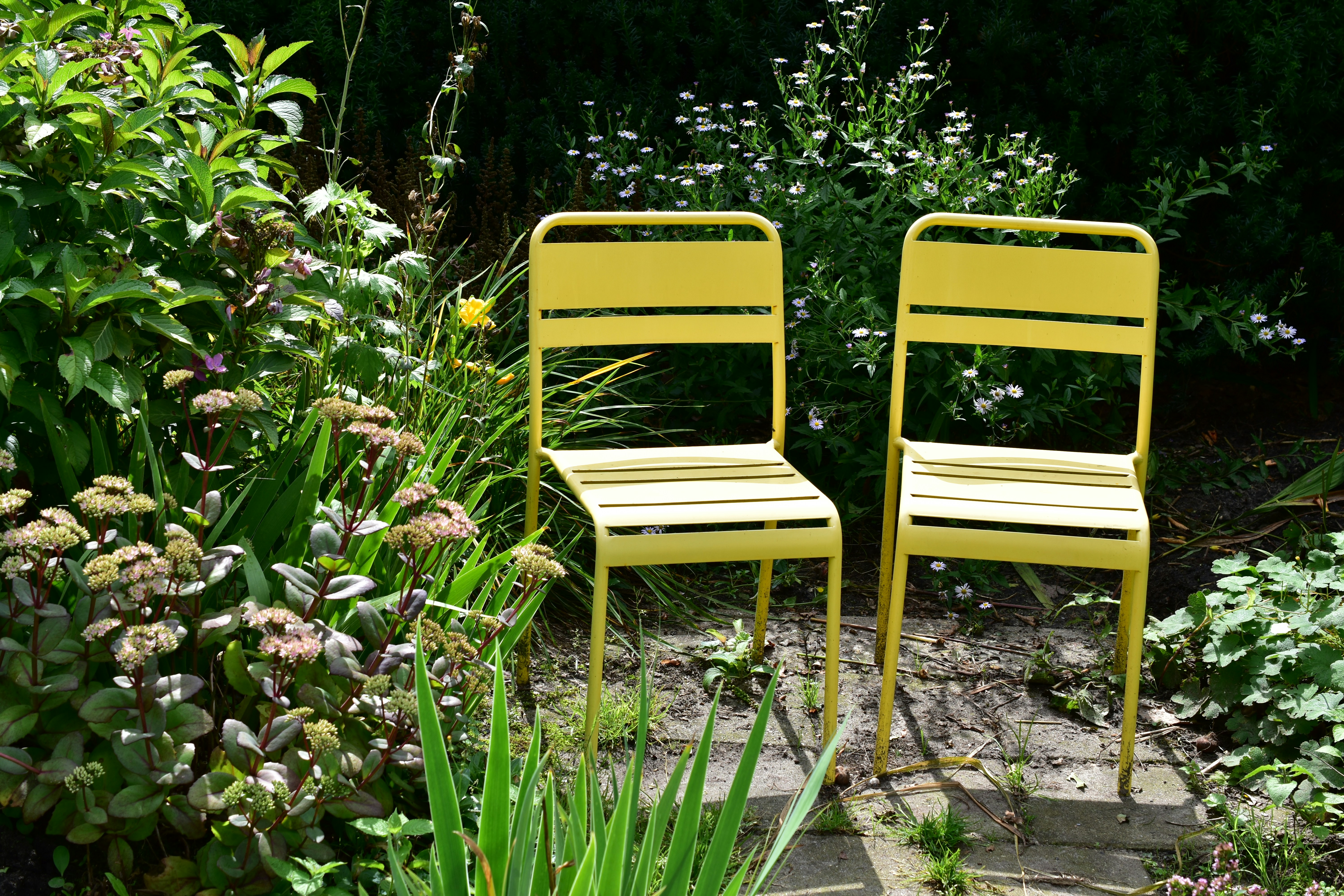 Two yellow garden chairs in a garden (Leisure - gardening - chairs)