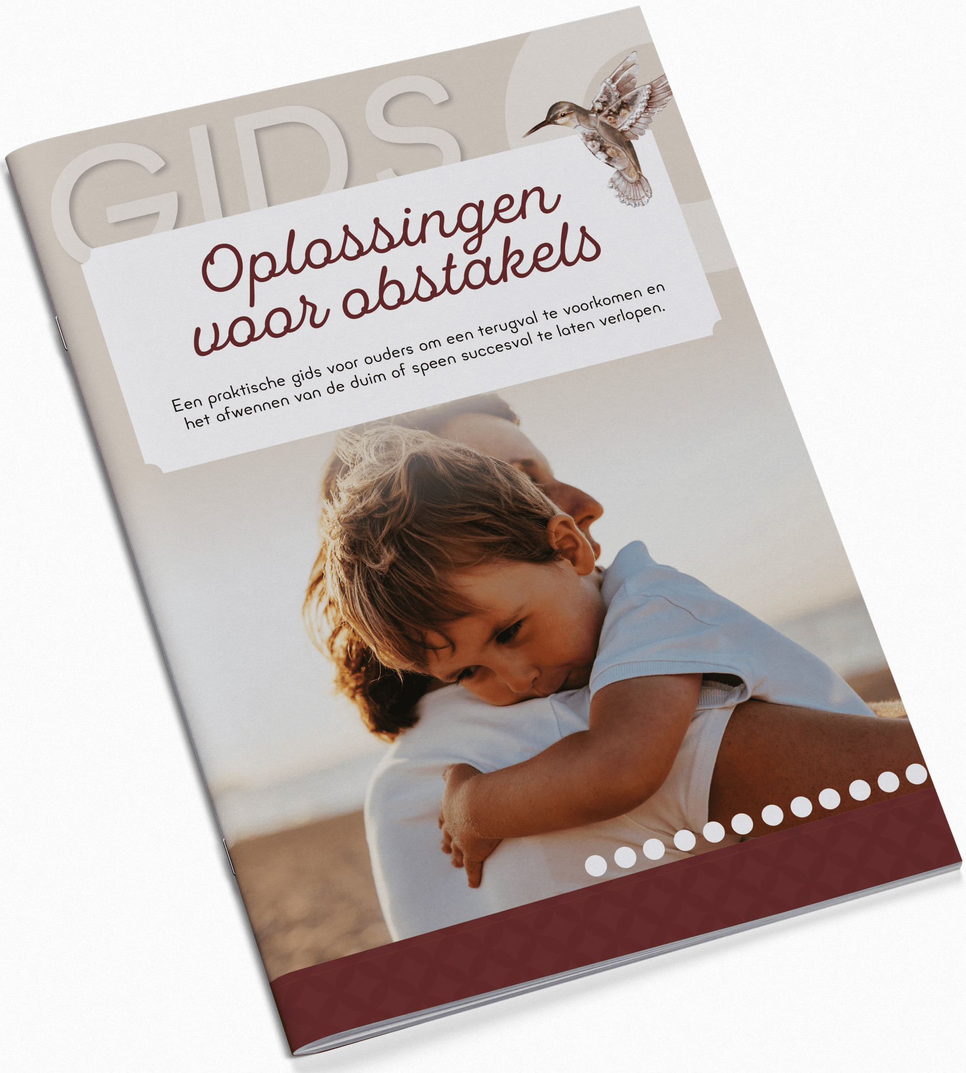 Gids Omgaan met Obstakels