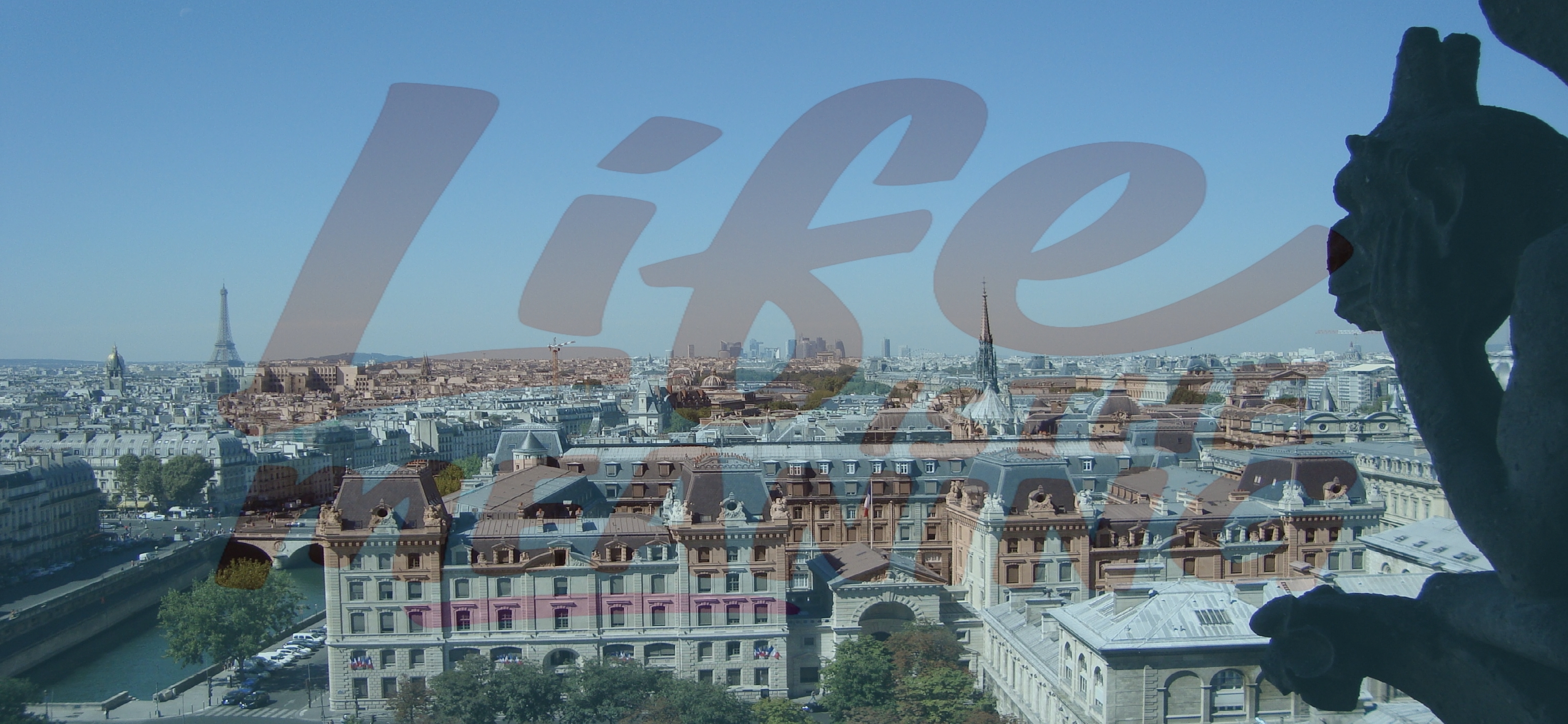 Vakantiefoto van Parijs in Frankrijk vanaf Notre Dame met Eiffeltoren op de achtergrond