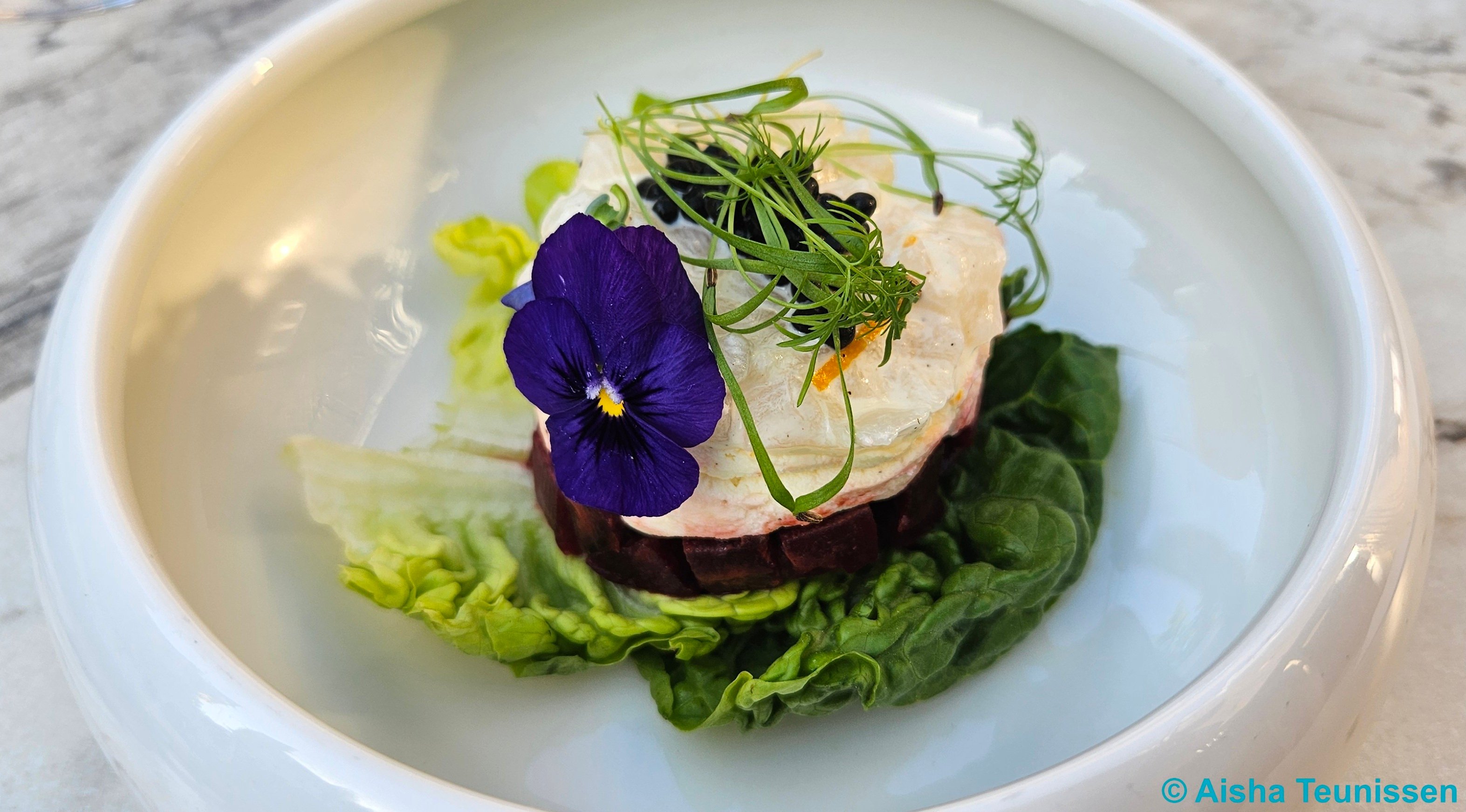 Bistro aan de Werf Utrecht Voorgerecht tartaar van coquilles