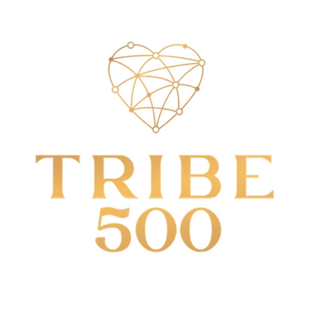 Tribe 500 werkt samen met Beyond Business.jpg