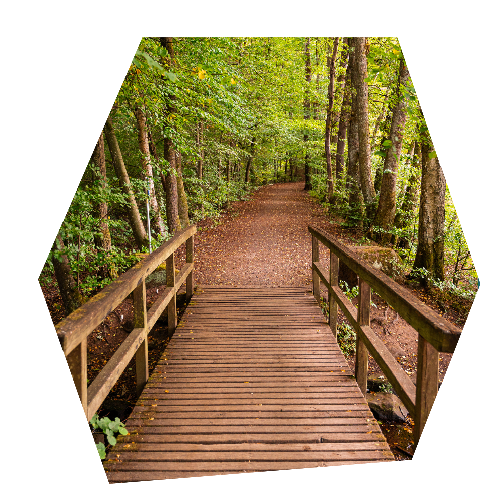 Example image