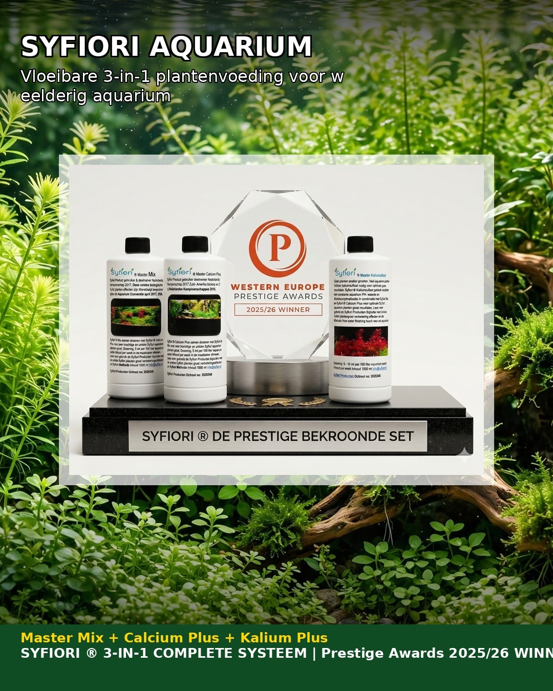 Syfiori De Prestige Bekroonde Set