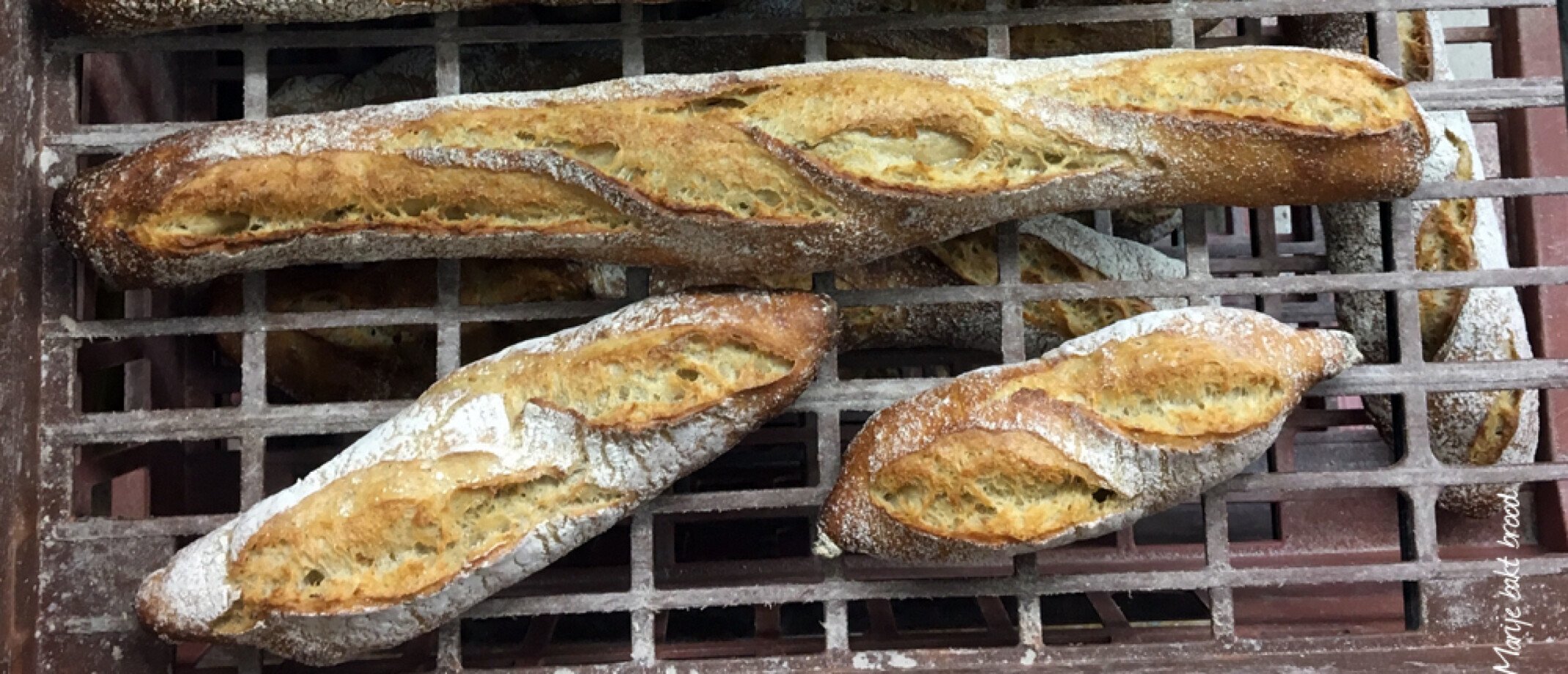 Baguettes spelt