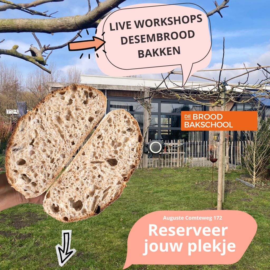 LIVE WORKSHOPS DESEMBROOD BAKKEN - De Broodbakschool