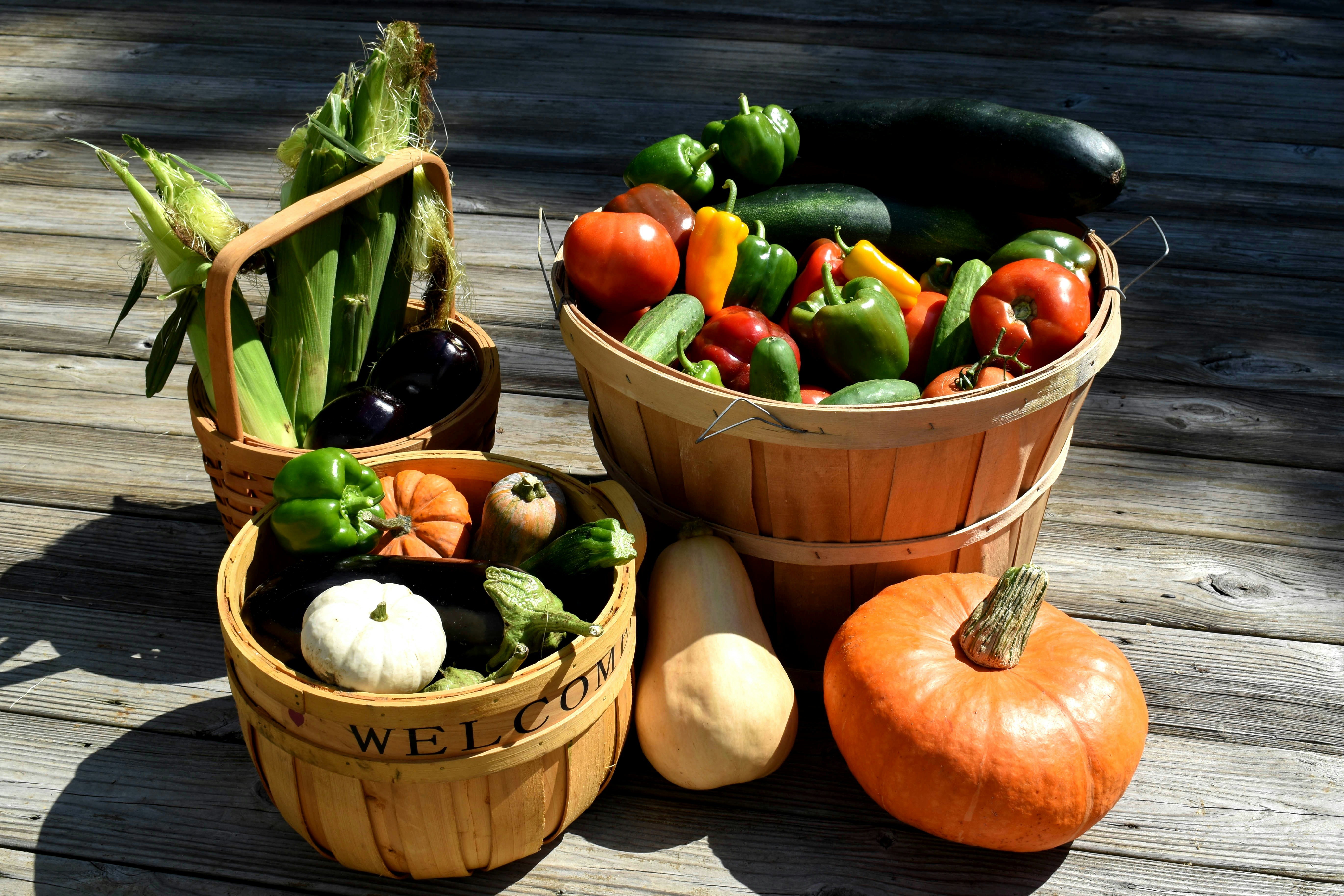 Baskets containing freshly harvested vegetables.