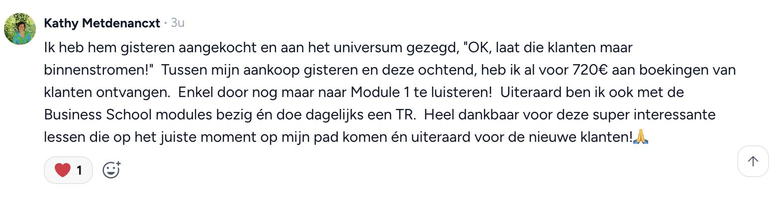 Reveiw Meesterschap in Sales