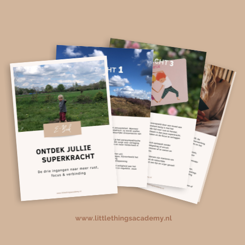 E-book Ontdek jullie superkracht