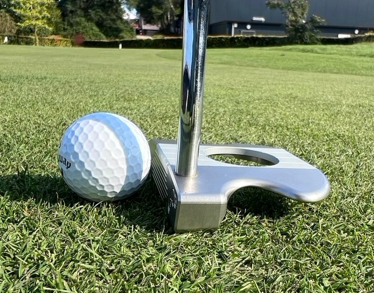 Deze foto dient als achtergrond voor de Cameleon Putter site