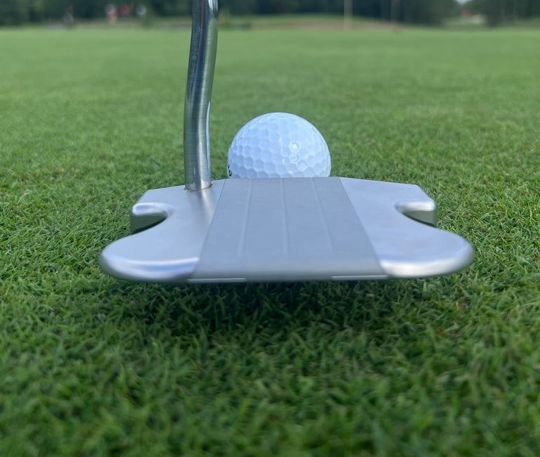 Op deze foto zie je de Cameleon Putter Achteraanzicht Original versie