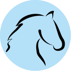 Example image