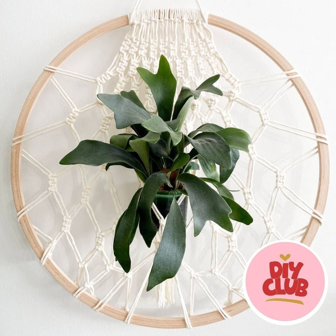 Macrame wandhanger maken met de DIY club