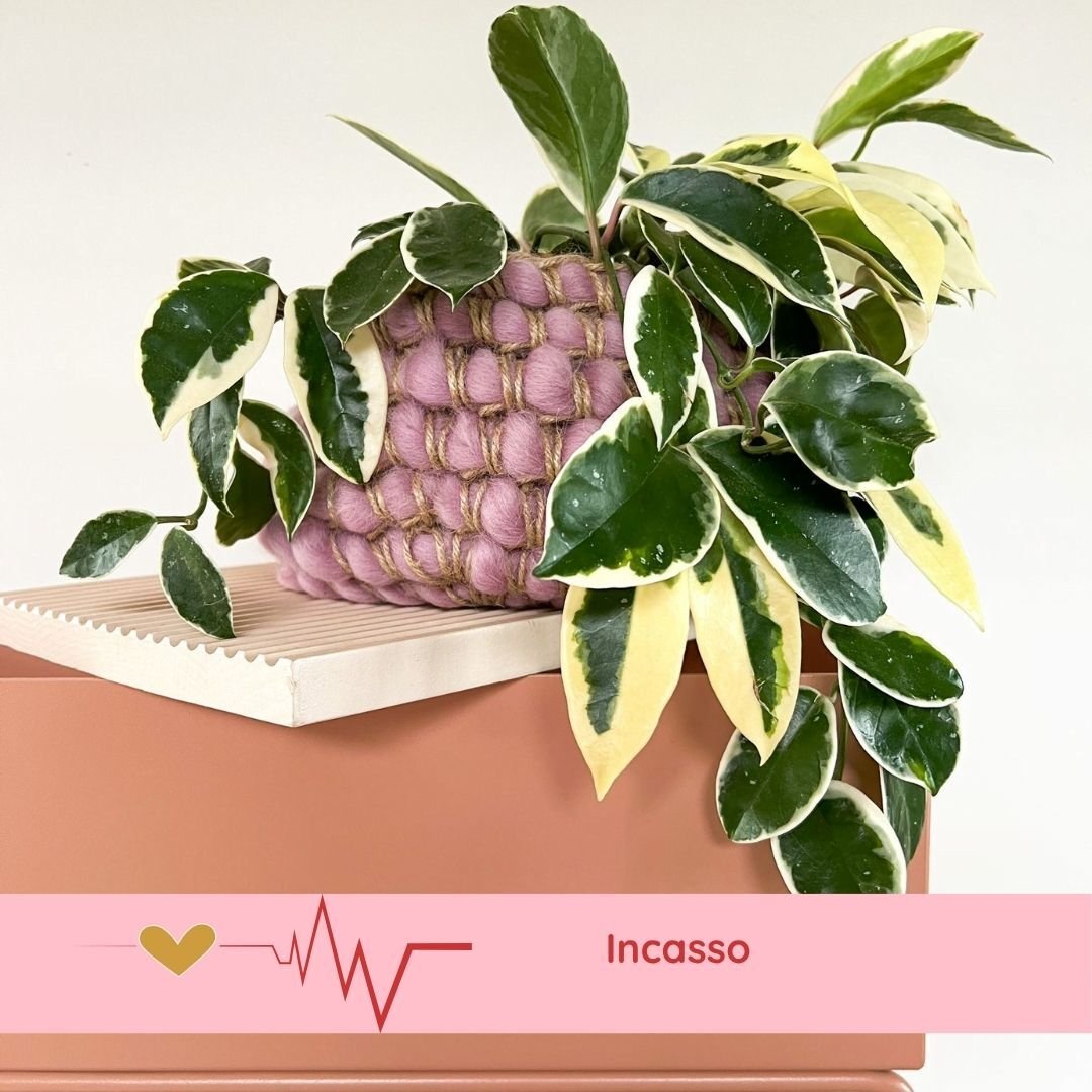 Incasso - DIYclub