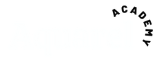 Example image