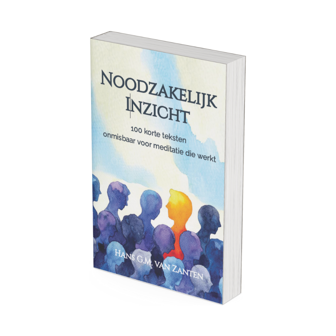 eboek noodzakelijk inzicht