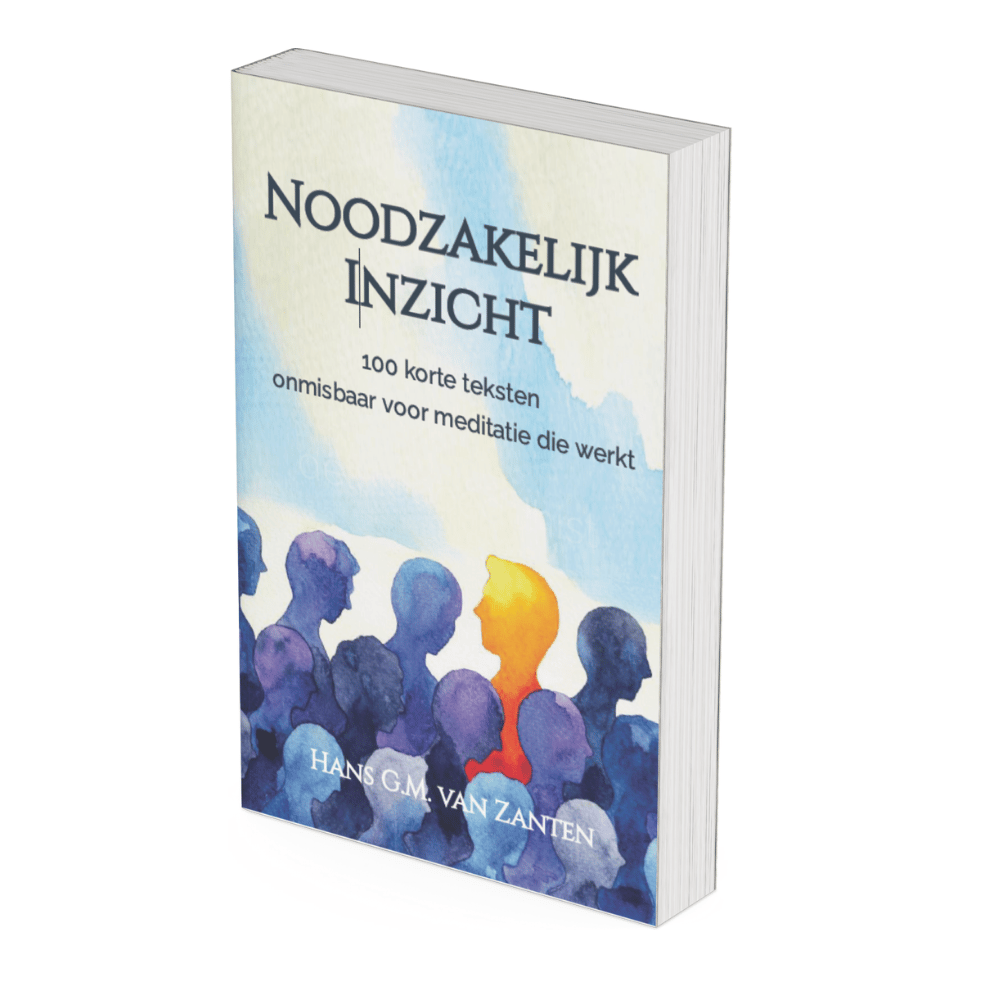 eboek noodzakelijk inzicht
