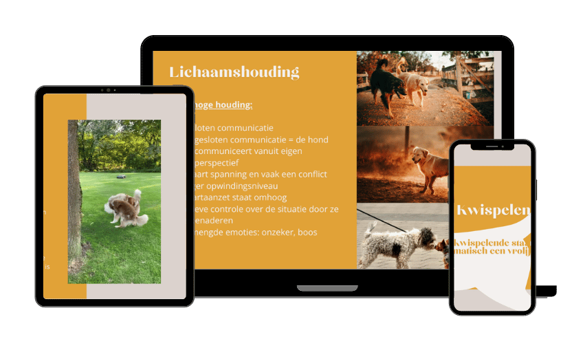 Lichaamstaal bij honden