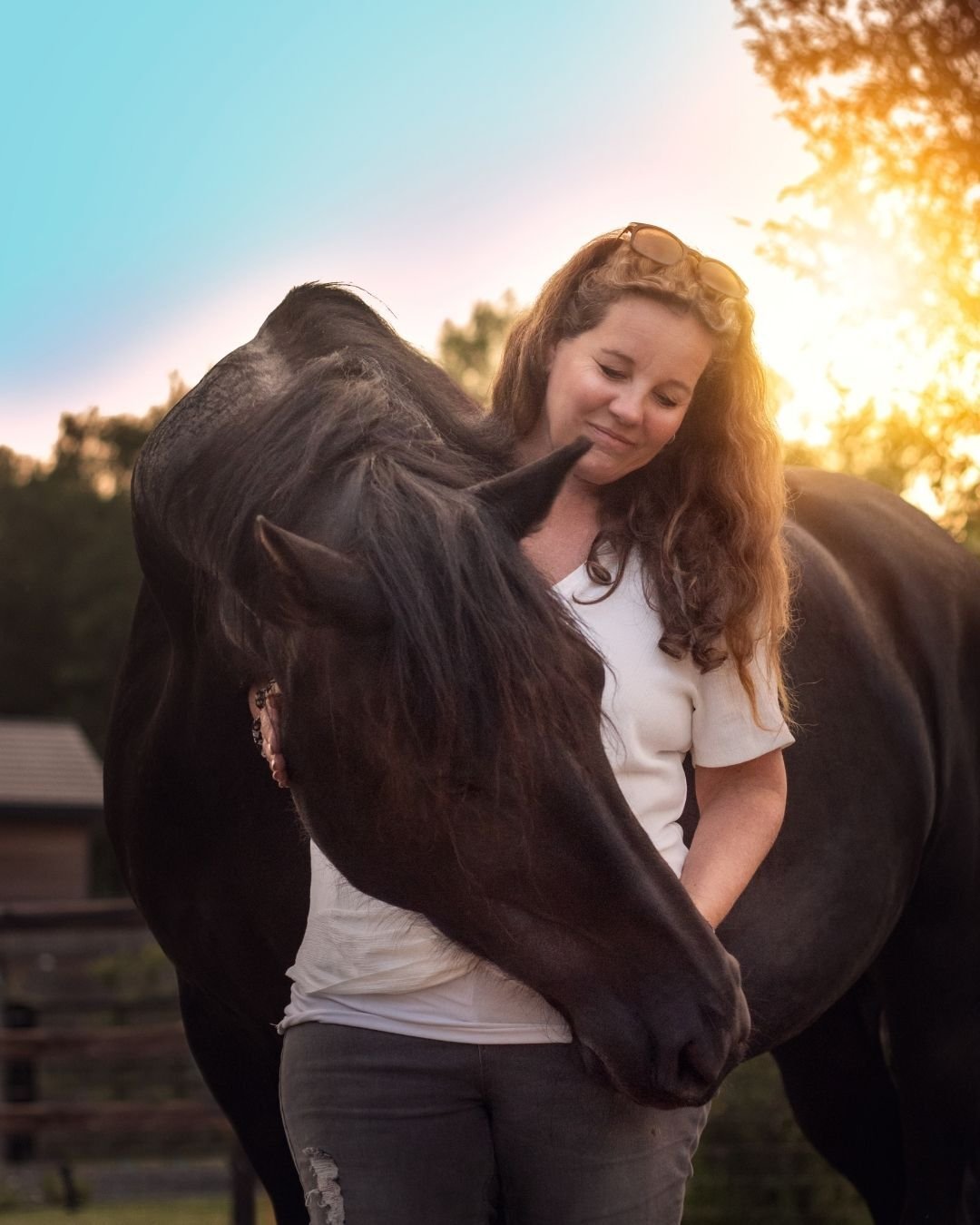 Paardencoaching in Almere, blaricum, huizen, laren eemnes