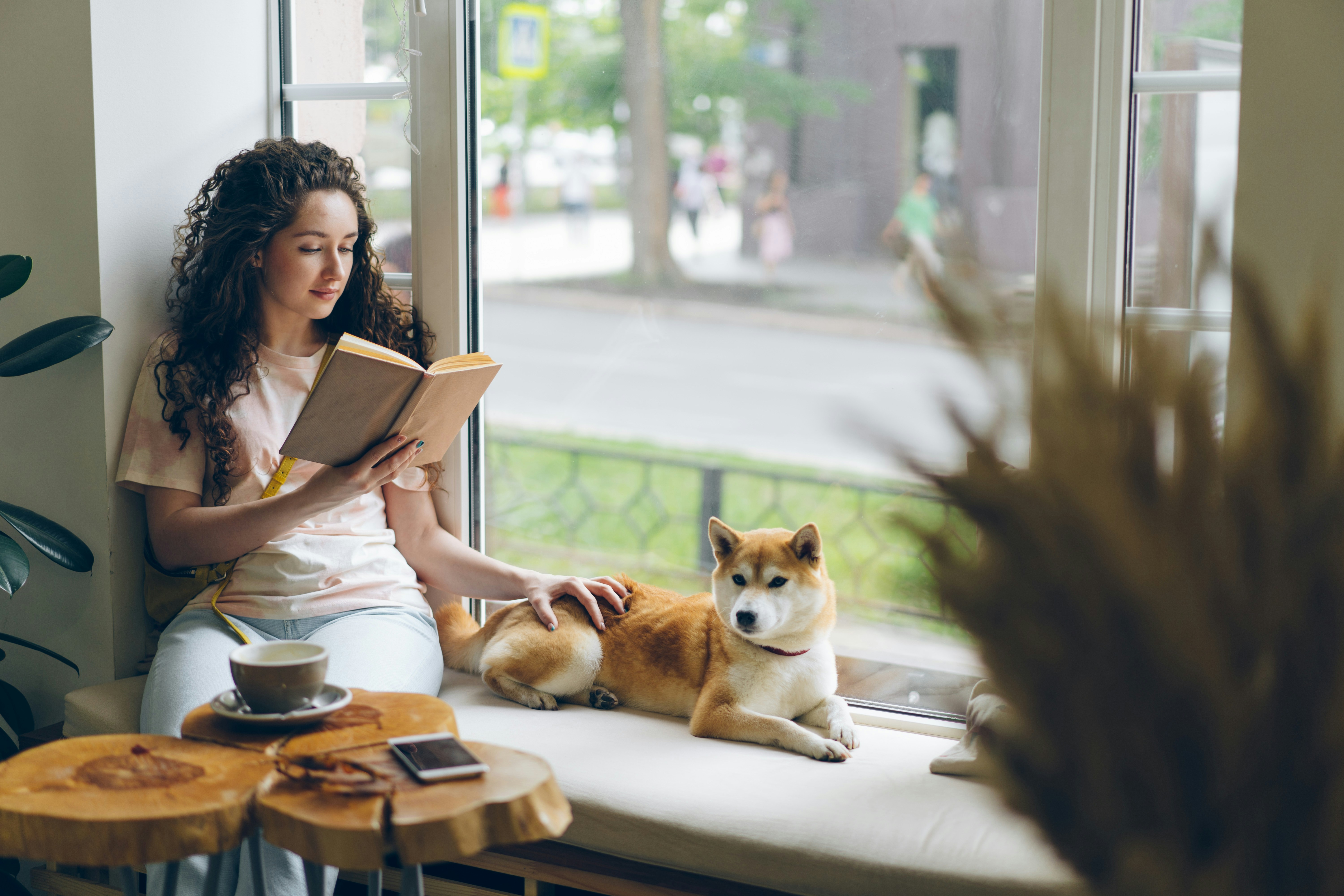 Pretty girl reading book stroking shiba inu dog relaxing on window sill in cafe