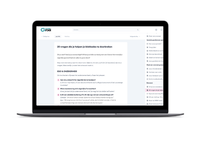 20 vragen die je helpen je blokkades te doorbreken - Bonus - No Bullshit Strategie Kit
