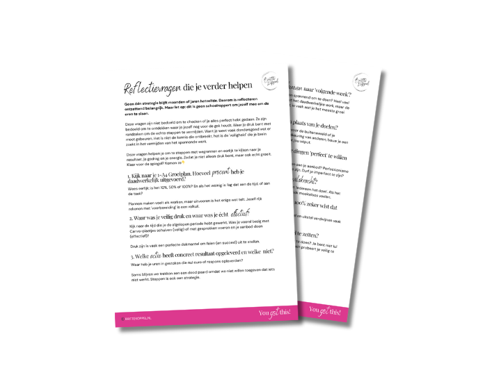 9 reflectievragen - Bonus - No Bullshit Strategie Kit