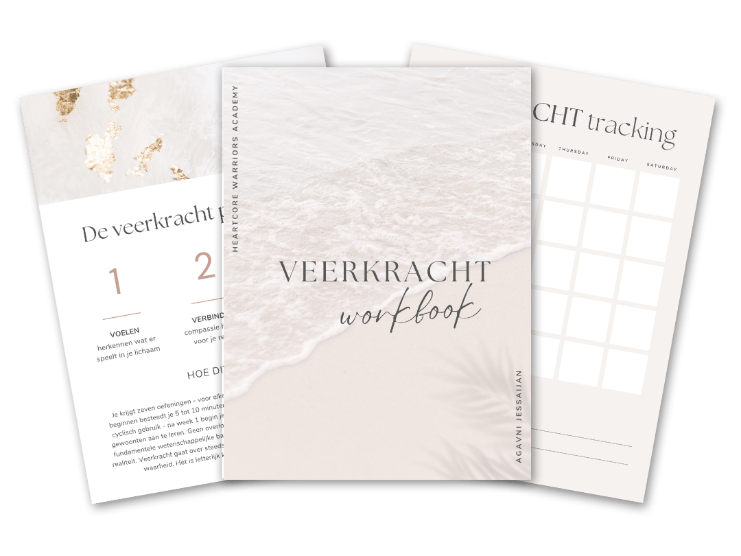 mockup veerkracht workbook ebook inhoud