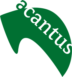 Example image