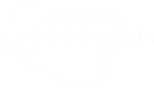 Example image